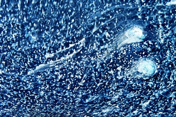 AP 147A1